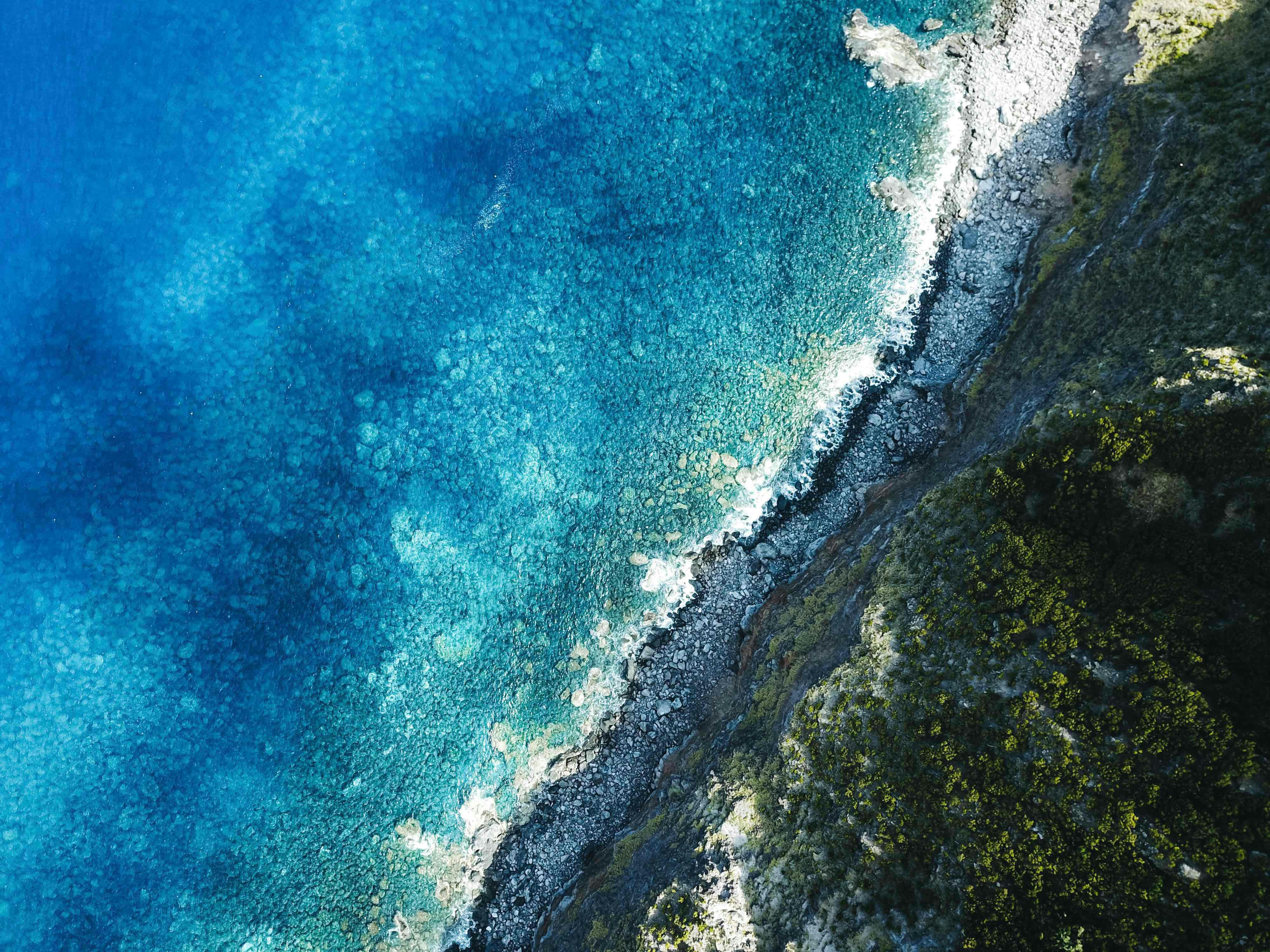 aerial view of seashore during daytime